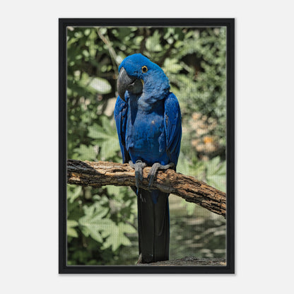 c324e9f1-1928-4cbd-8abb-ff2b98af2609