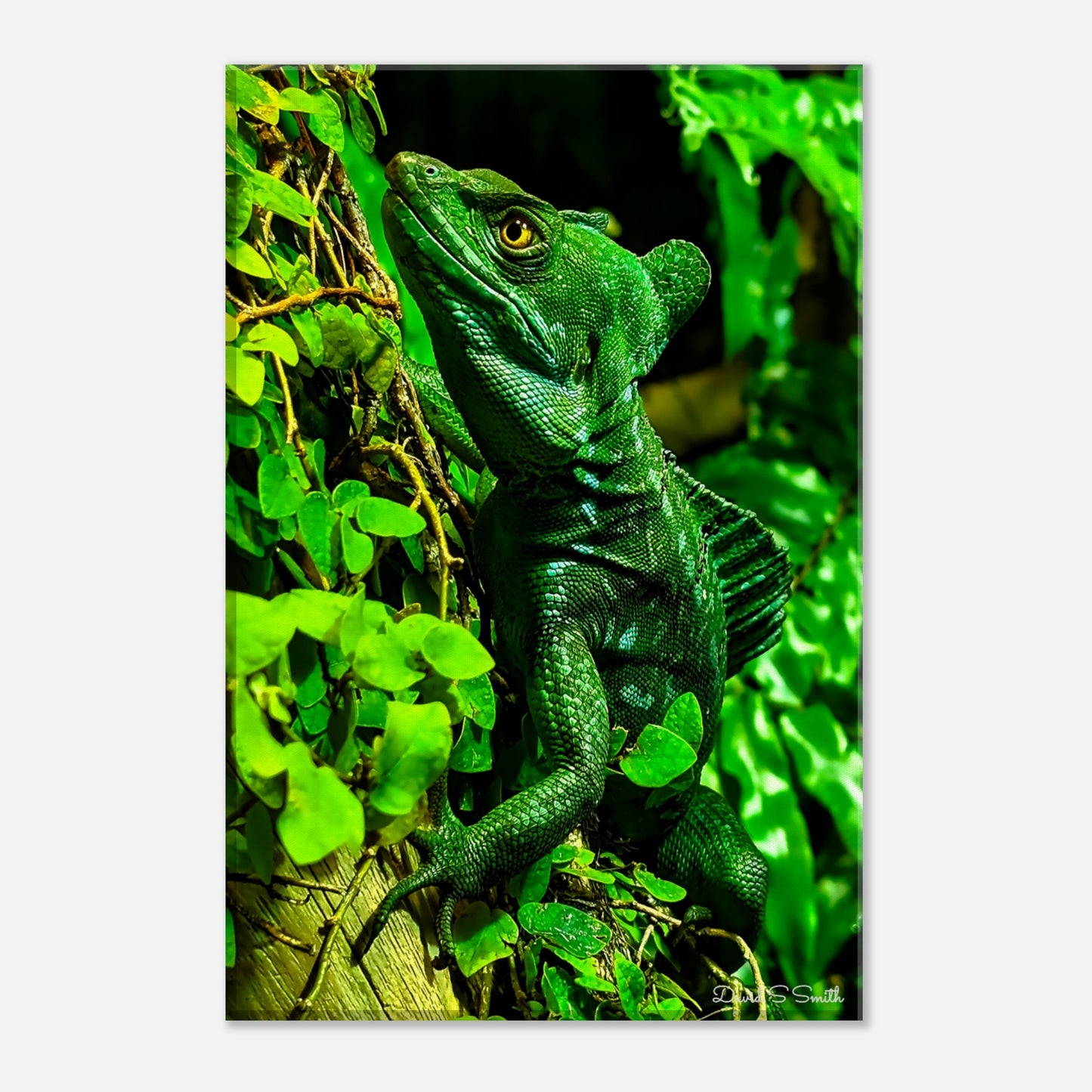 c3b8a0d1-fb98-47ed-b74b-b221cafd562d