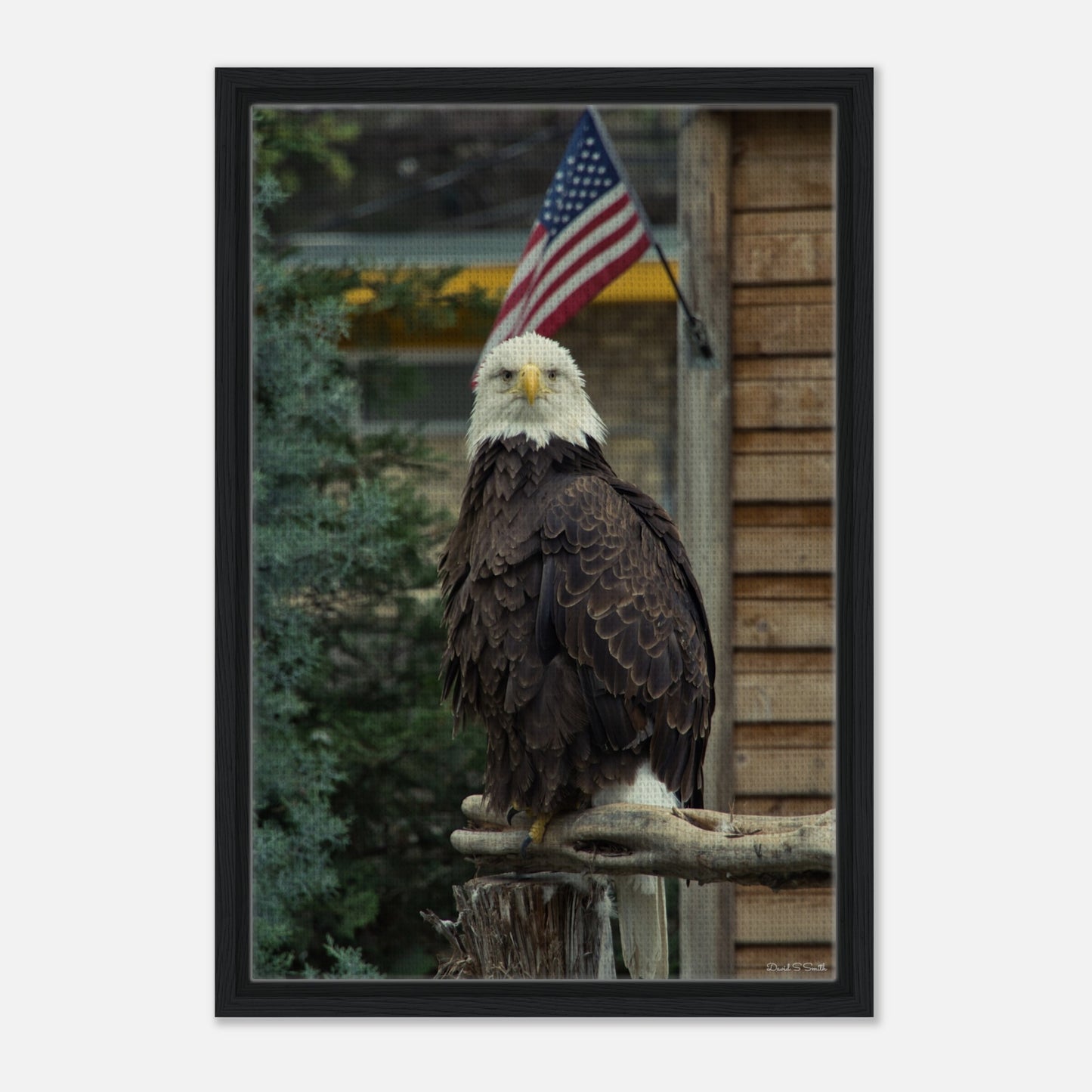 c646116f-b22c-4bc9-a0fa-0dba0306f4bb