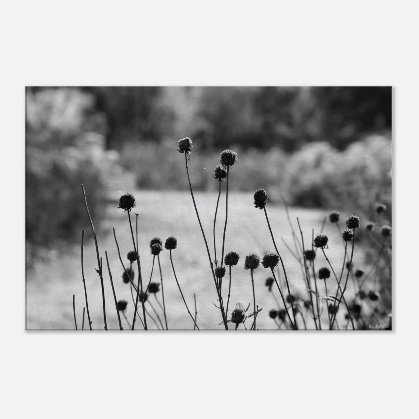 c94e698b-72b6-453f-ba12-a67b510db87c