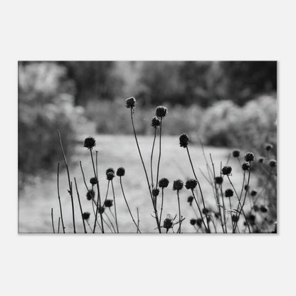 c94e698b-72b6-453f-ba12-a67b510db87c