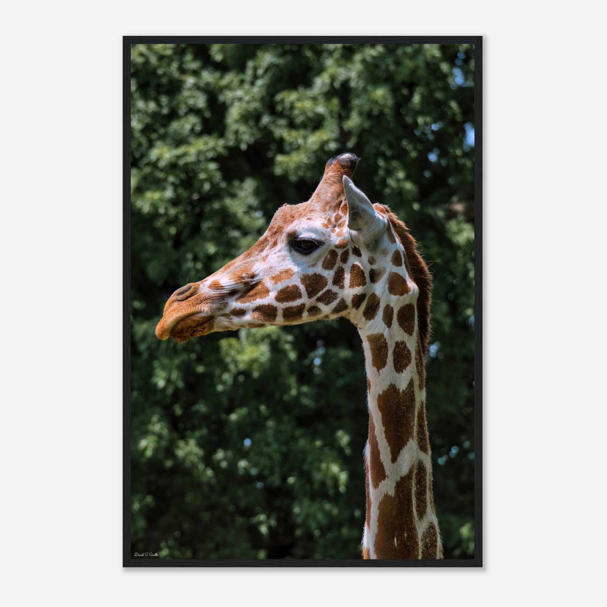 cbb4cc0a-c127-4c16-aa2e-20e334d0c6ef