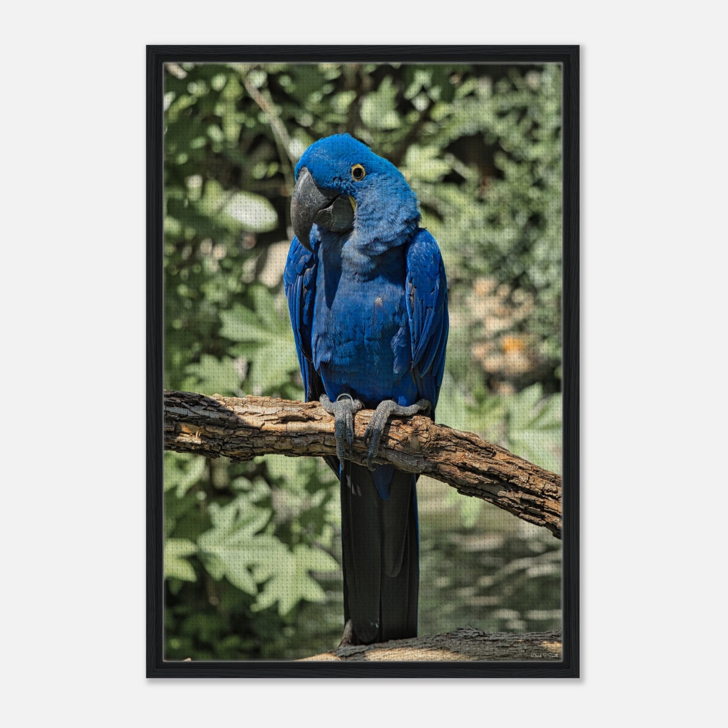 cc666208-0c2a-40eb-a00b-301fa3df6e8d