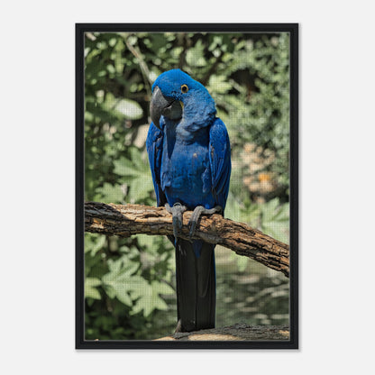 cc666208-0c2a-40eb-a00b-301fa3df6e8d