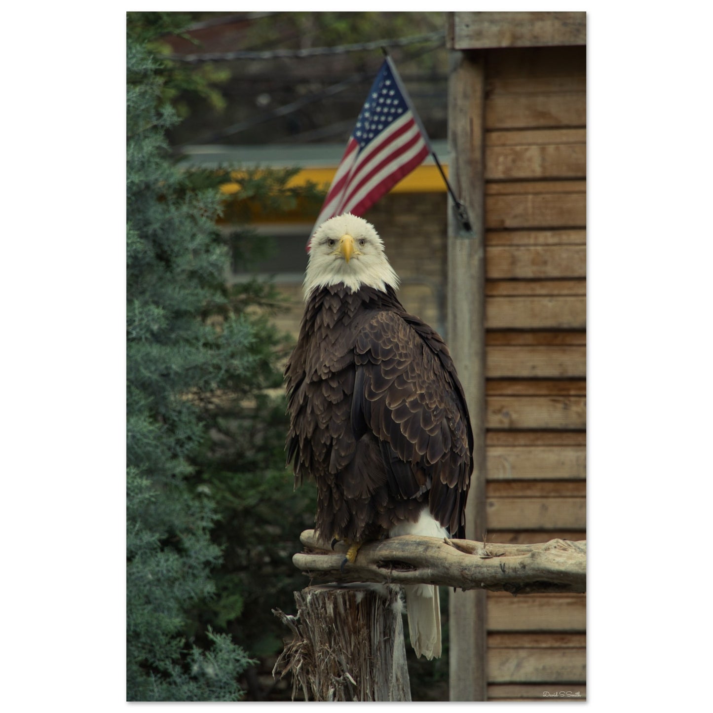 cc9fc09e-a1c9-4a71-a660-92926482dc62