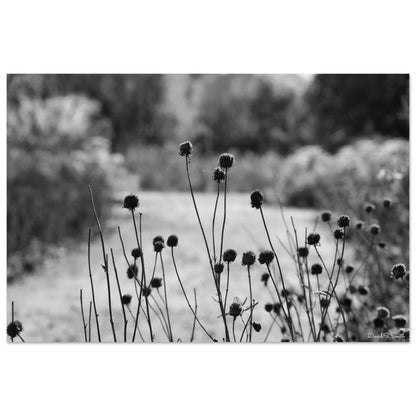 cd4d0b08-330c-4704-8c6b-139d013eced8