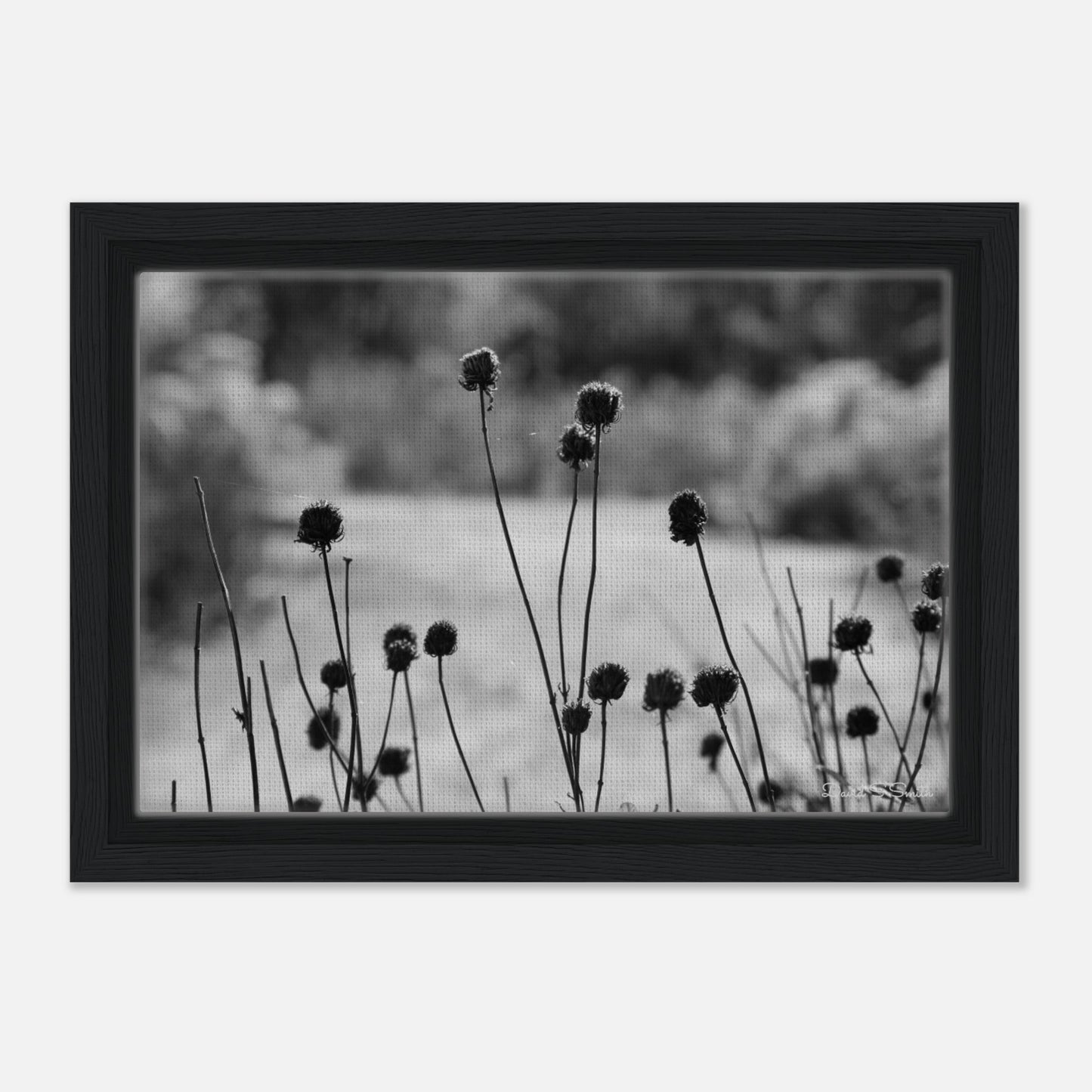 cd7a48ce-c8c2-4f49-aa8b-8b7be30c494b