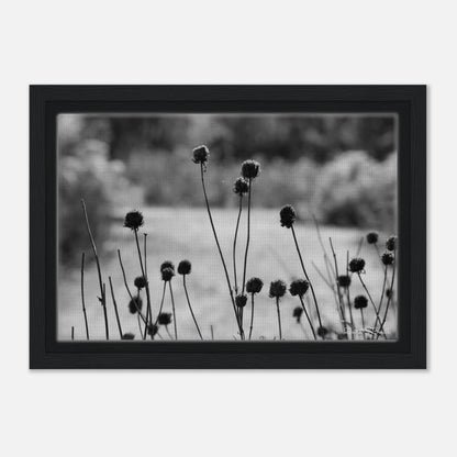 cd7a48ce-c8c2-4f49-aa8b-8b7be30c494b