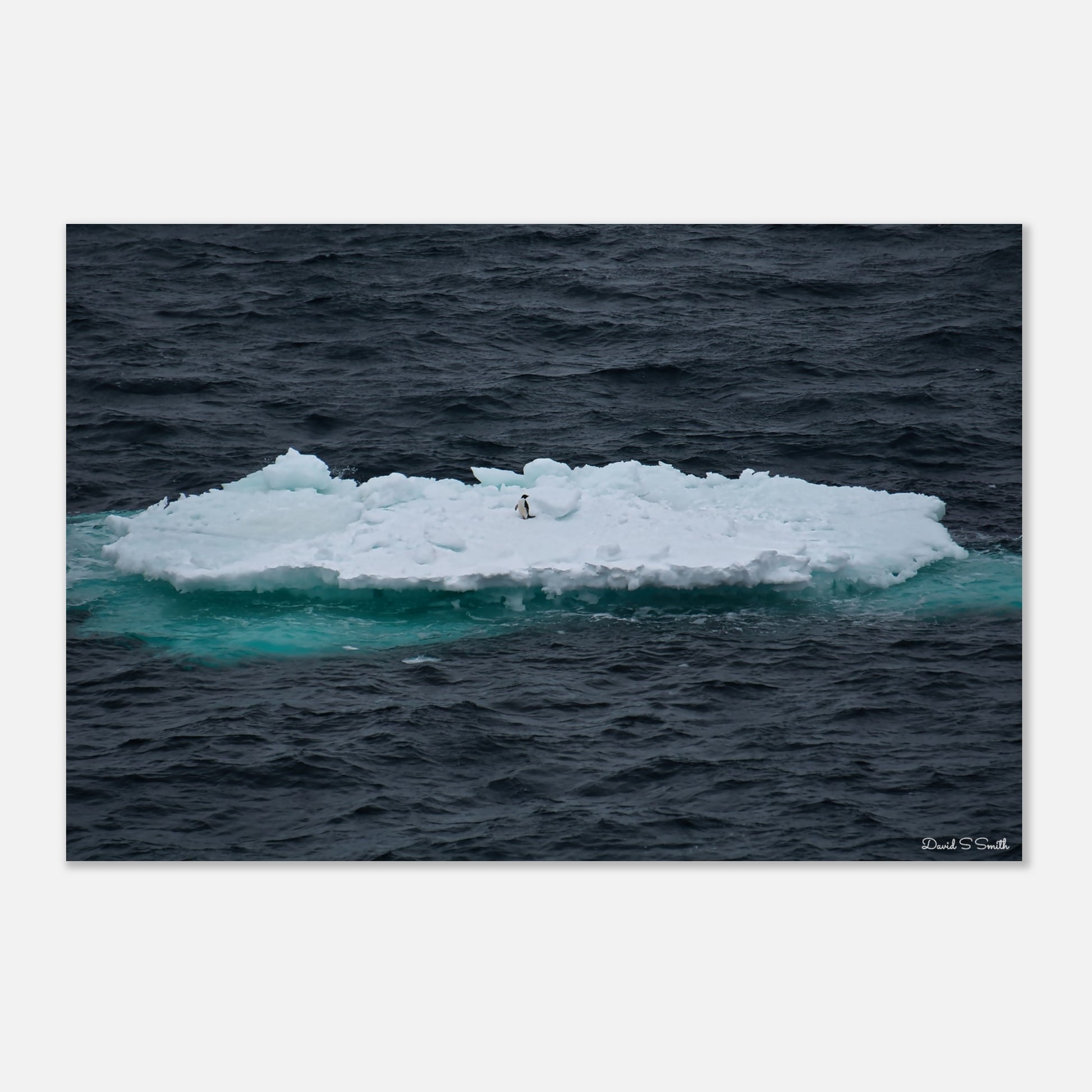 ce87bc59-67ab-4917-a130-8d212a524a50