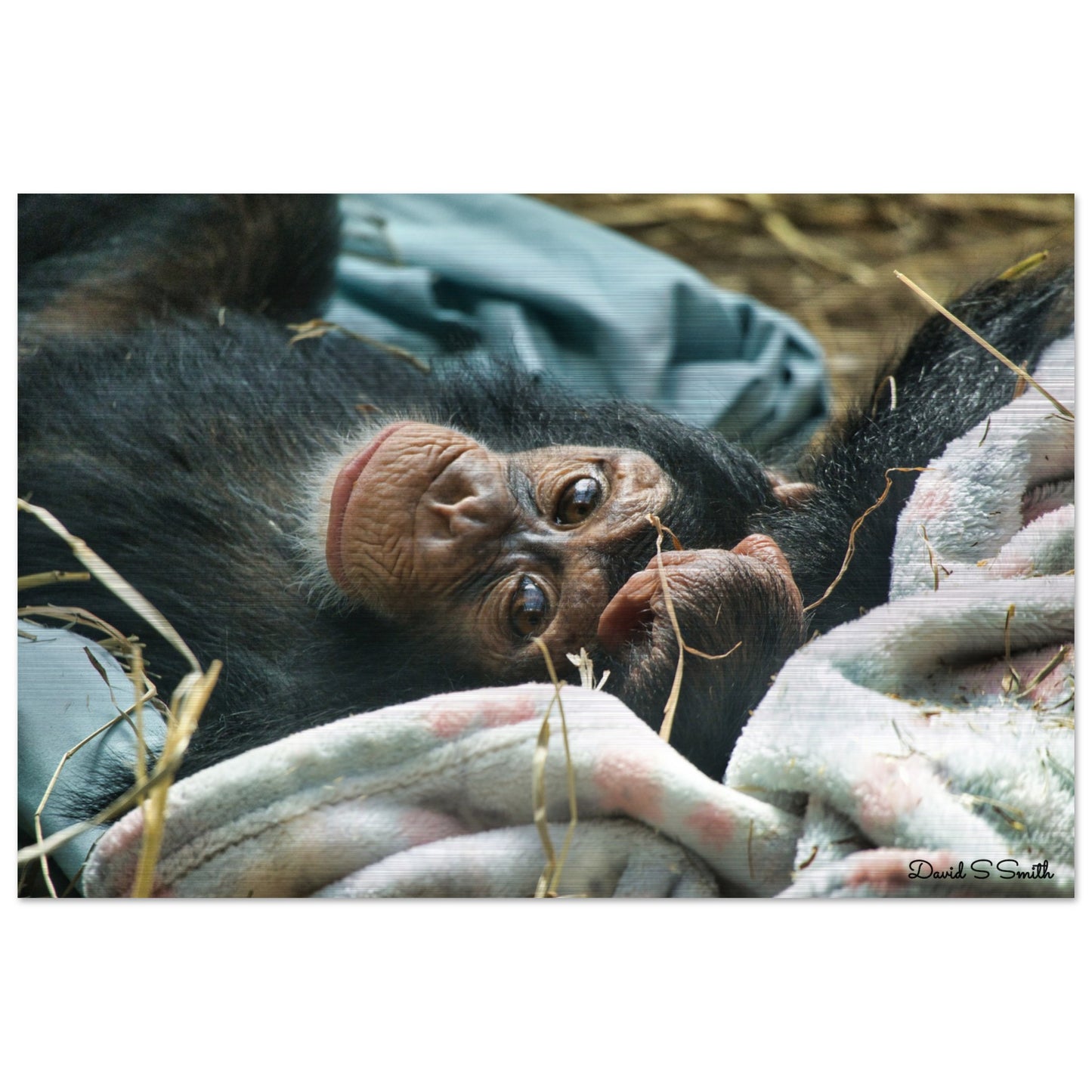 cec1929b-e0f4-4572-9c50-418806668b32