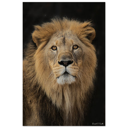 cf219a7a-6f3a-4329-b8b4-2805e3ea51a3