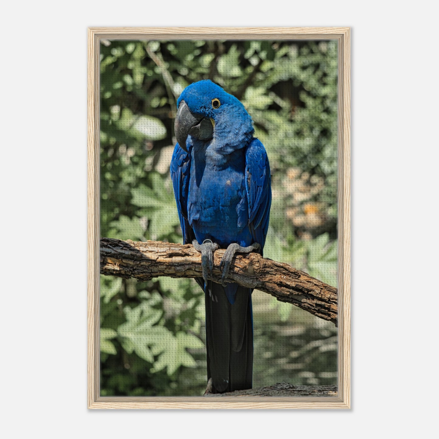 cf7c288b-ea3a-47ae-a61e-bb3321c06038