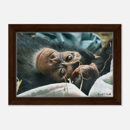 d020d2c2-704b-4adc-b02e-36de2d0a6029