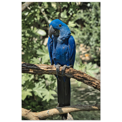 d3acdd87-fb92-4bc3-9a65-19e2ab4ebc5a