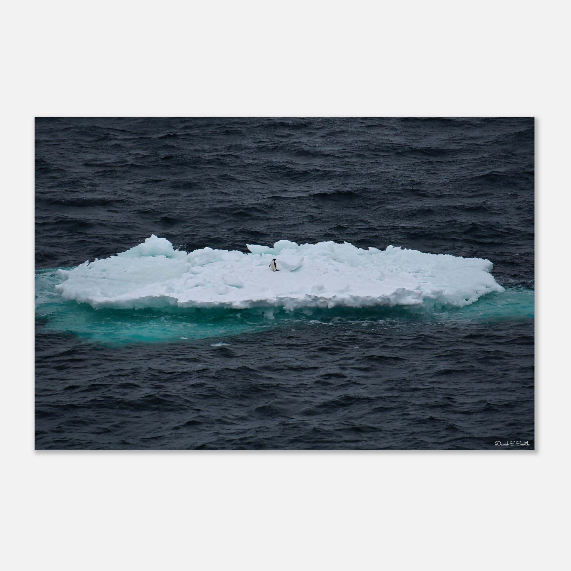 d3c6e31f-82b5-4c65-b520-1d92b22ea5aa