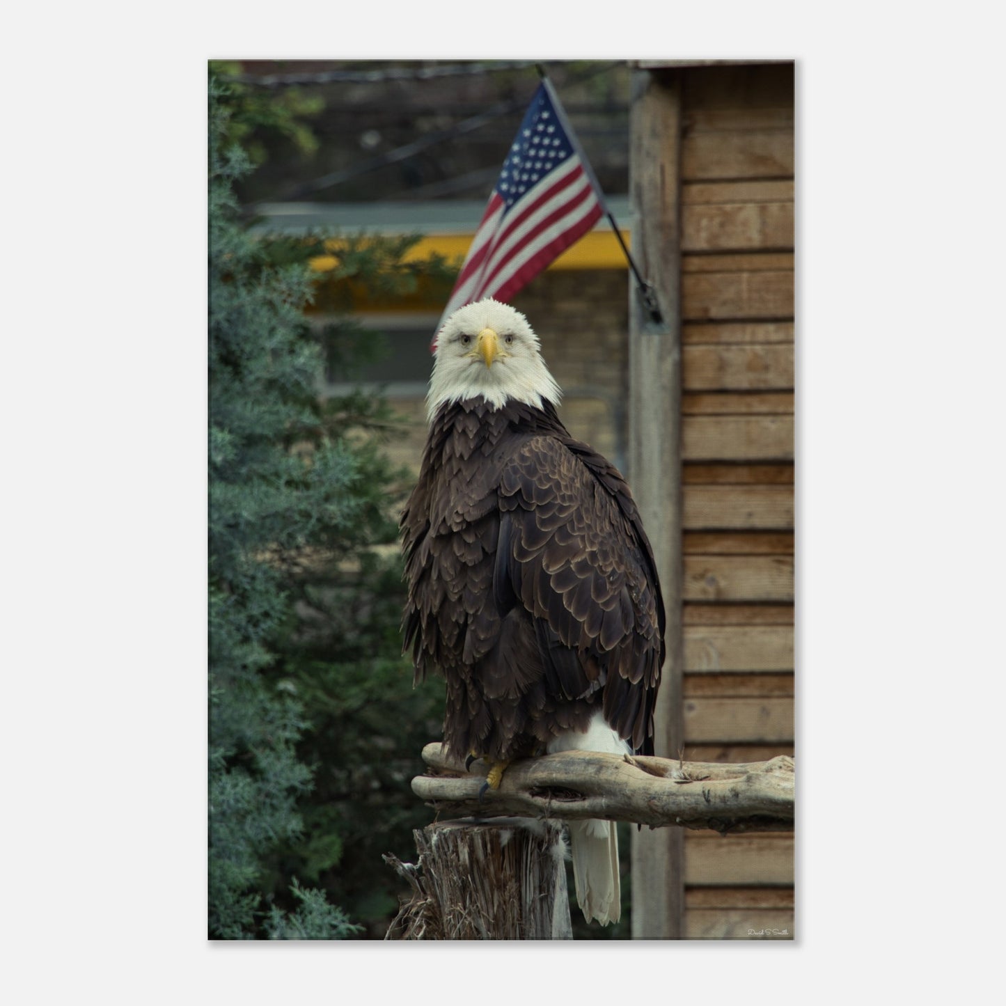 d5992429-78b1-4b1e-9d34-89a0a4d25da0