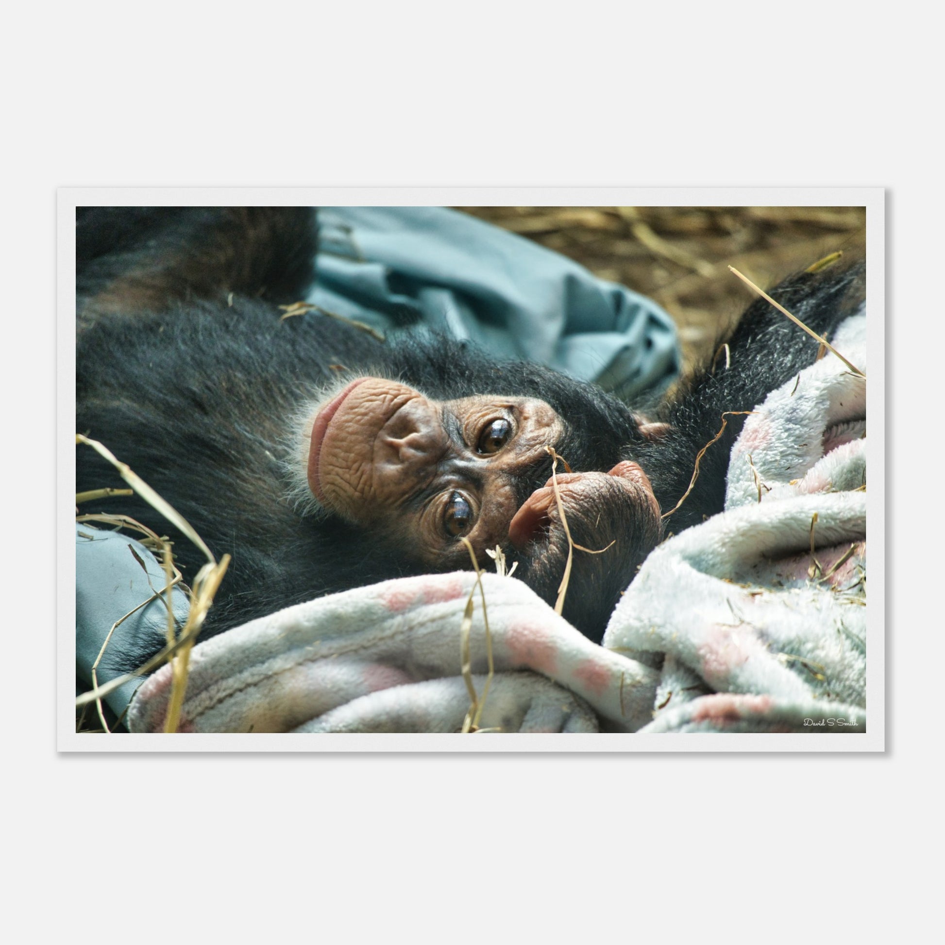 d6b9b246-4e0d-4bc2-bf15-13b1683ce1d5