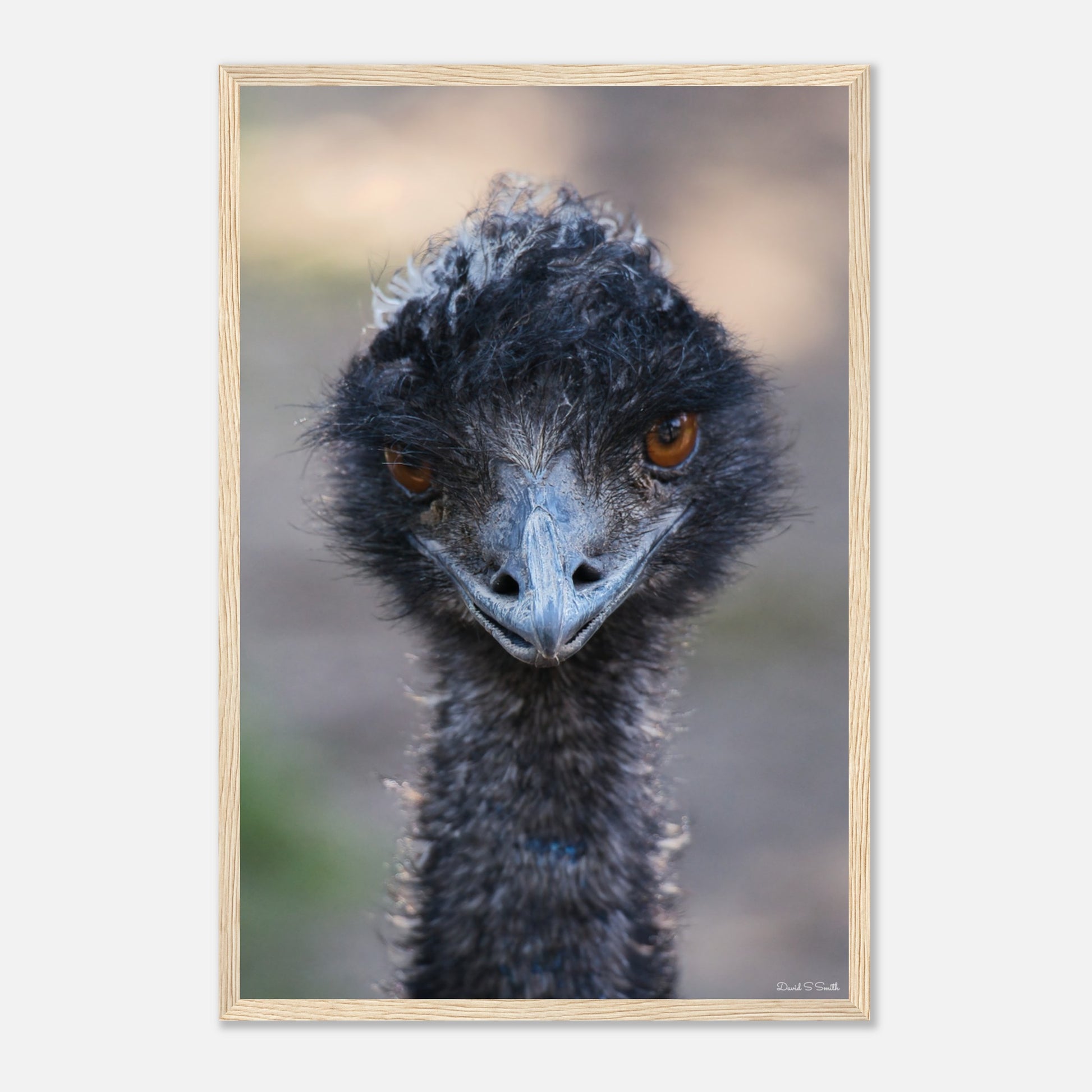 d6f8c2dd-96f4-4240-9fb7-81210a218c4d