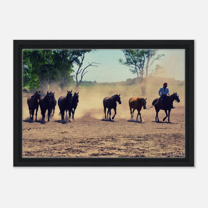 d796fcae-b331-4b6b-82ef-99945cfedea2