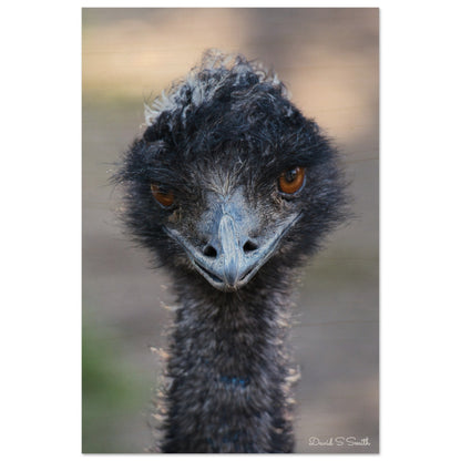 d7cceb8b-7171-4371-9cd1-b28d8fdcf084