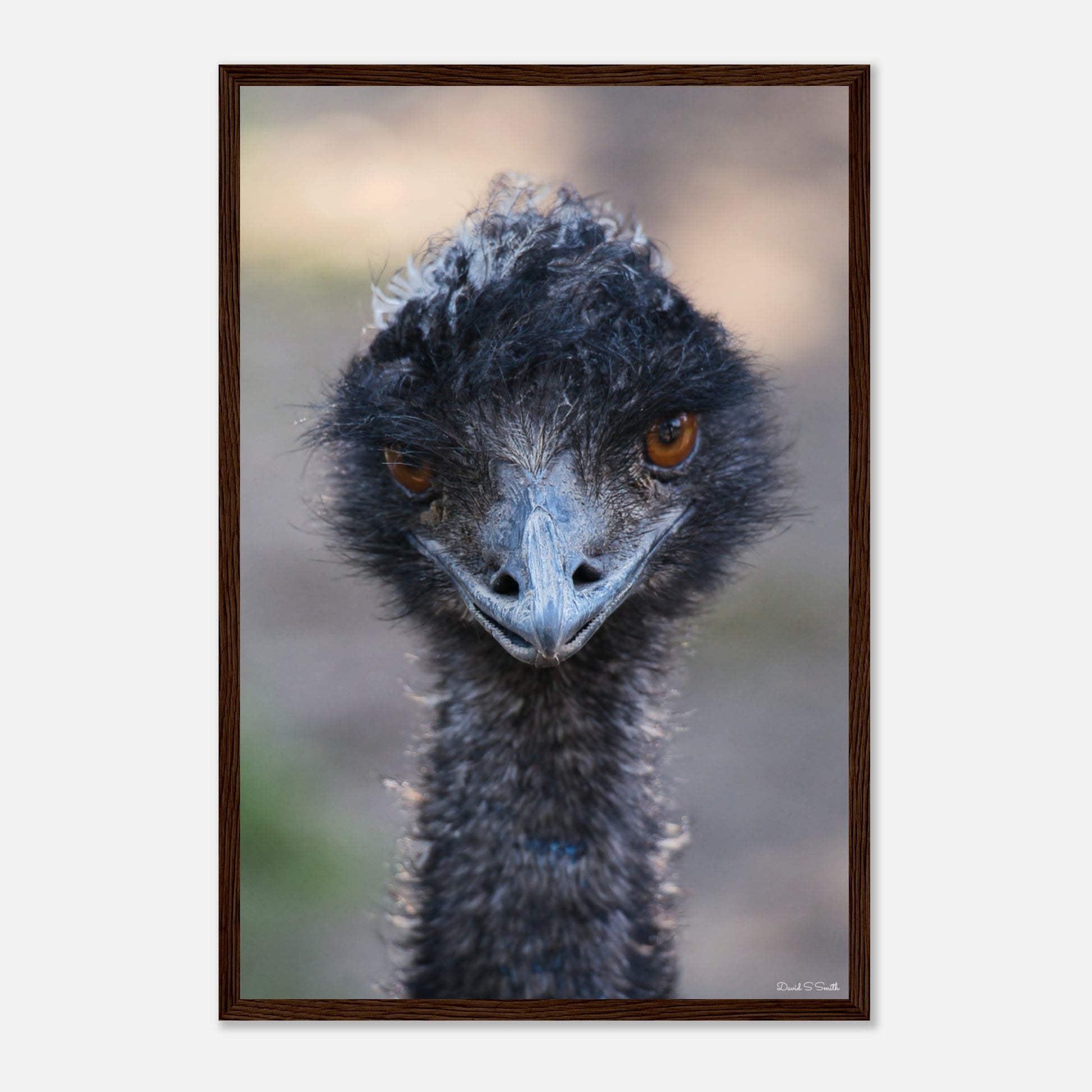 d7fad5cc-e70a-4ee1-ba06-f417eceef384