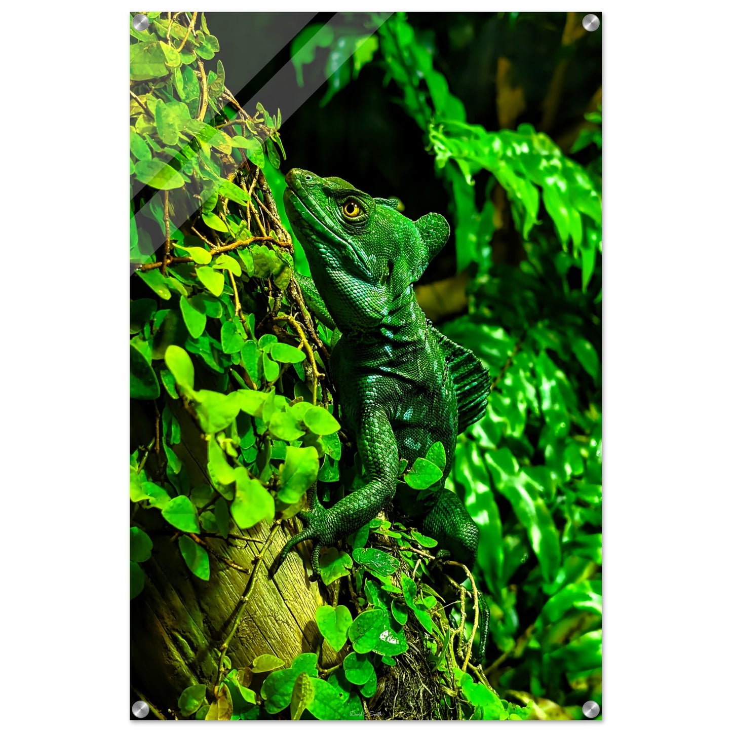 db0f9fa0-232f-422d-9ec3-cf9feb7e9d7d