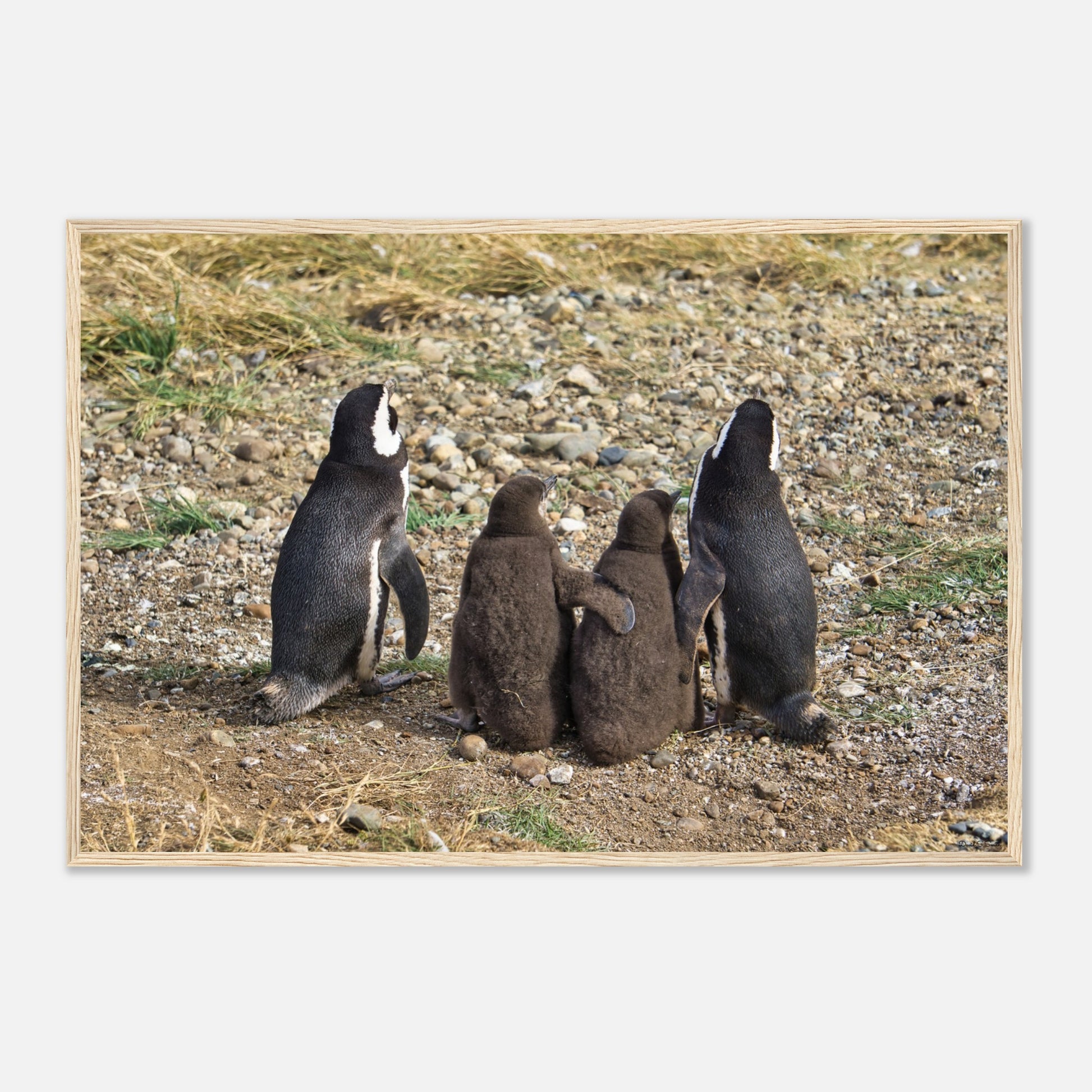 db5f268c-7399-4300-aa46-376803e0d160