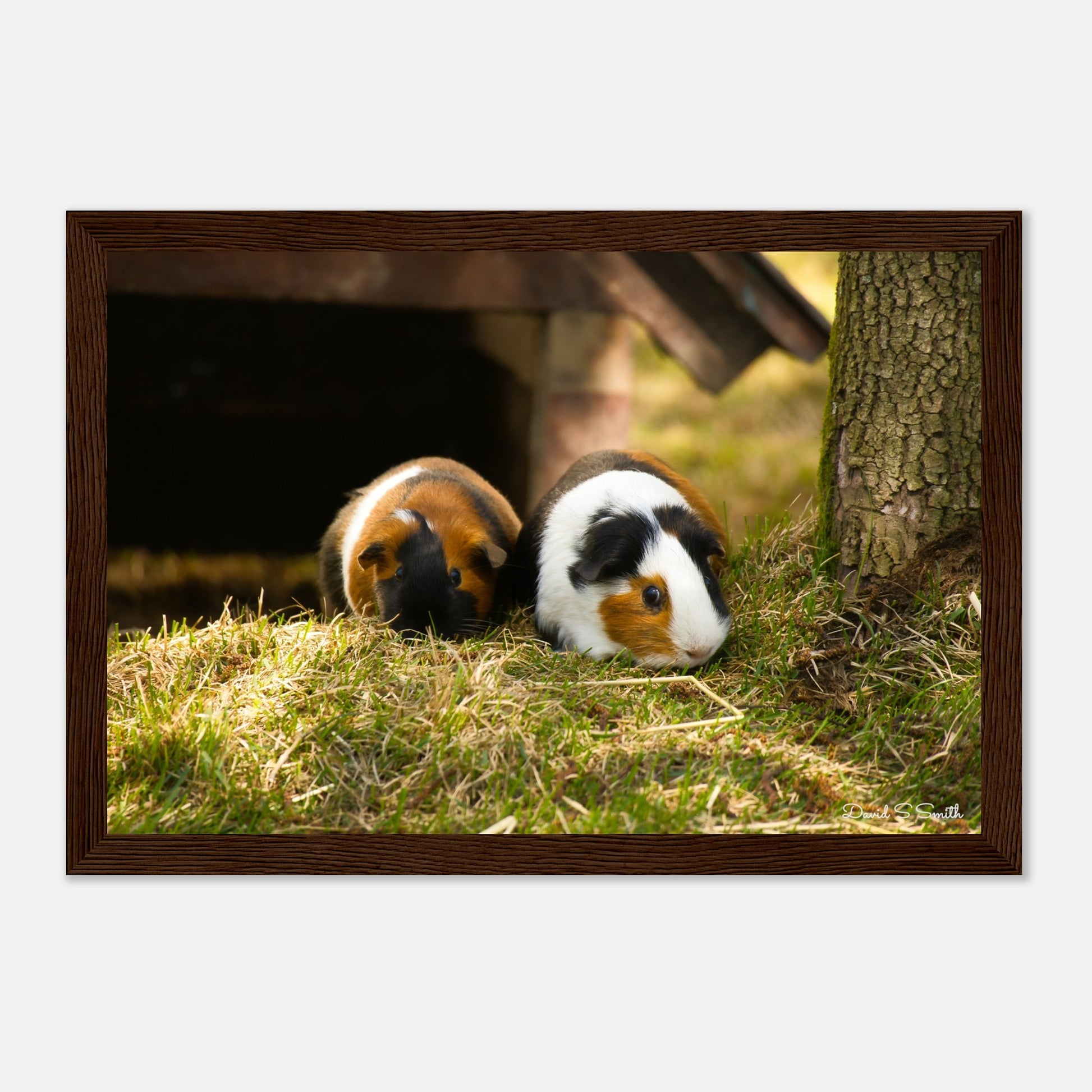 dd85d007-8dc6-46be-8c96-398a5a7b0af2