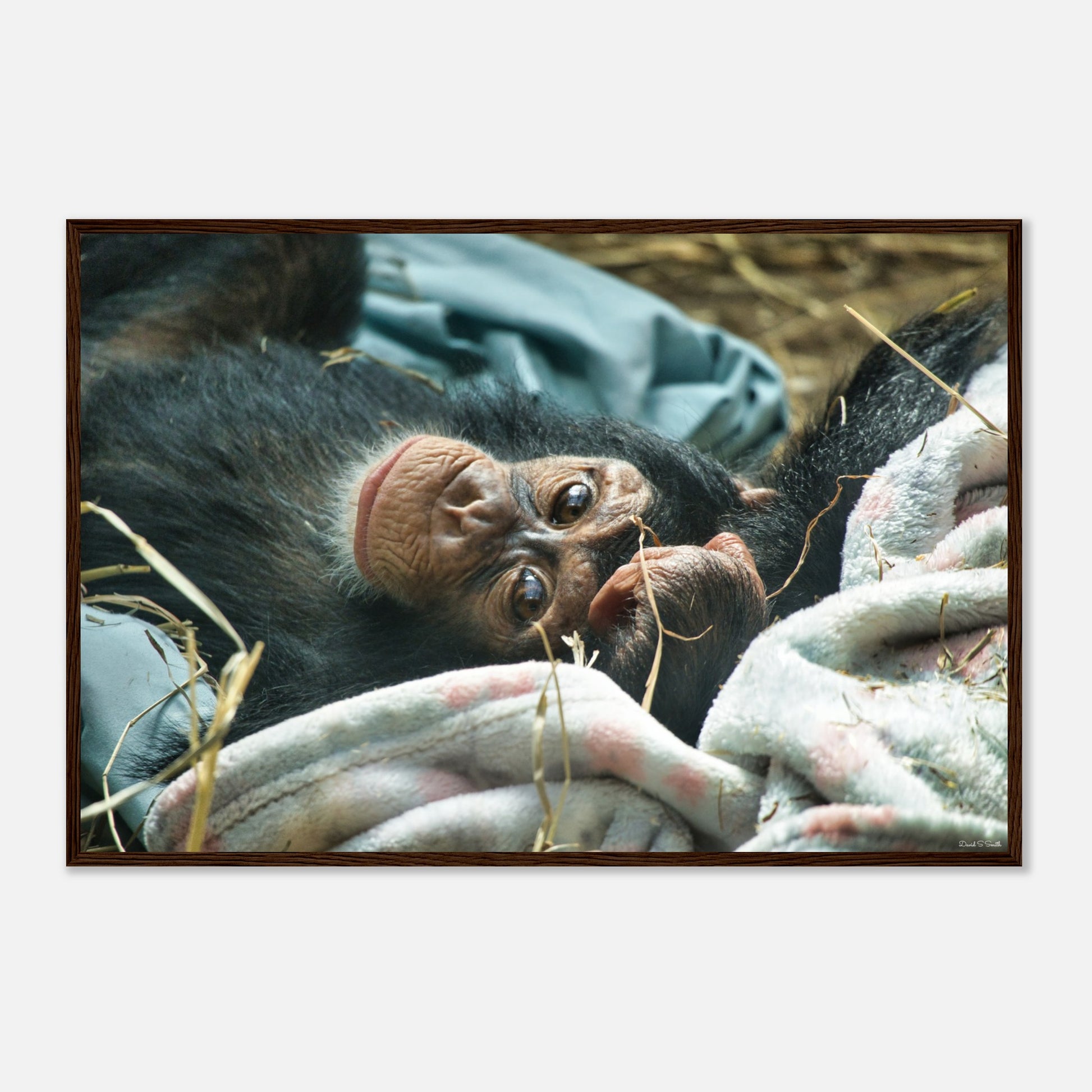 de03bc11-c3d3-4b57-b444-8cb489451642