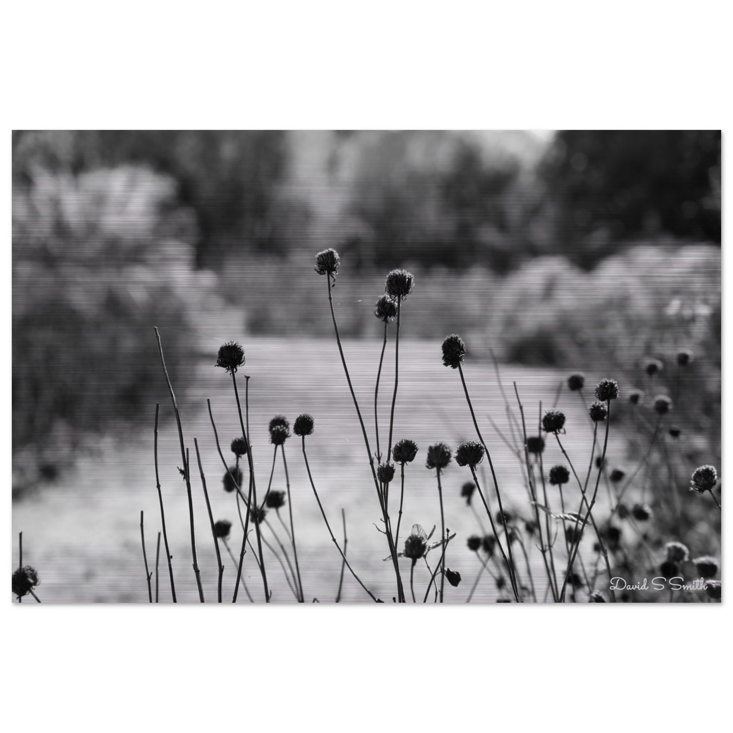 df980774-945c-44b1-b5a8-595017a3e1d9