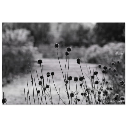 df980774-945c-44b1-b5a8-595017a3e1d9