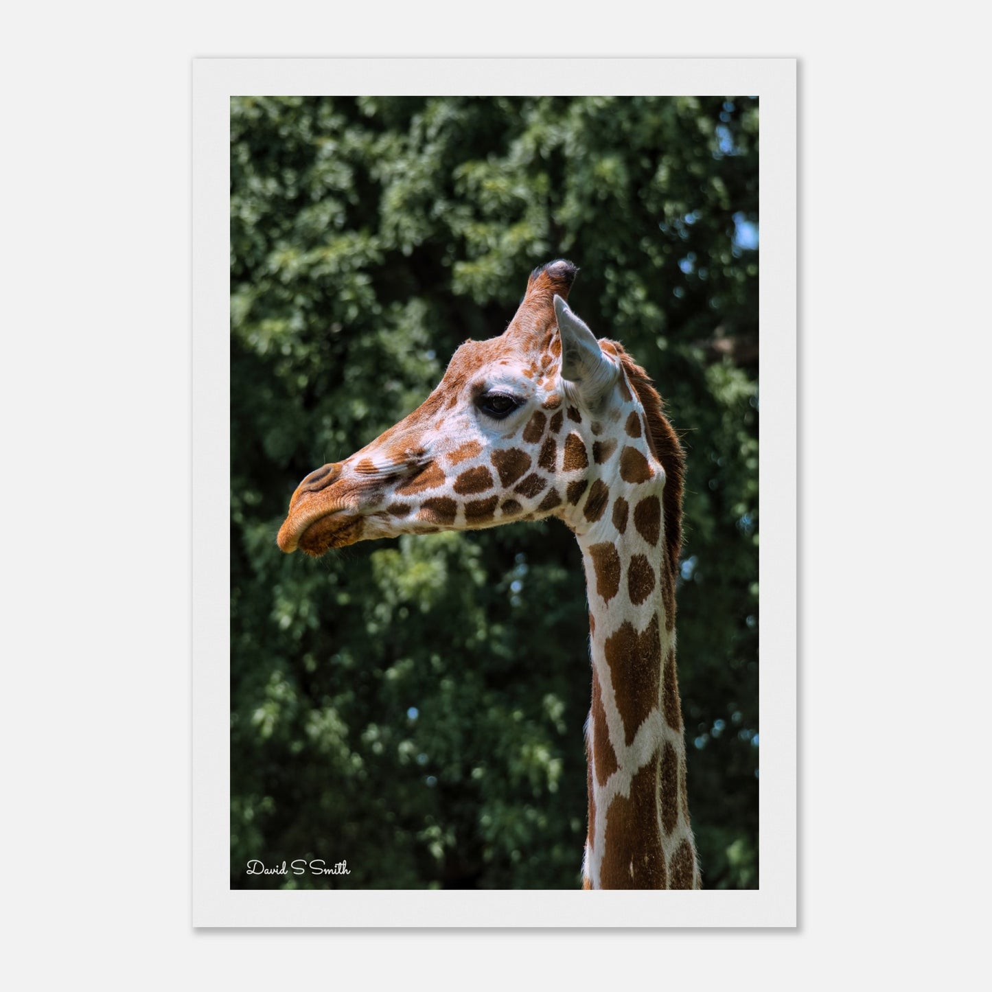 e11697d8-8101-4e3a-9143-11156810088b