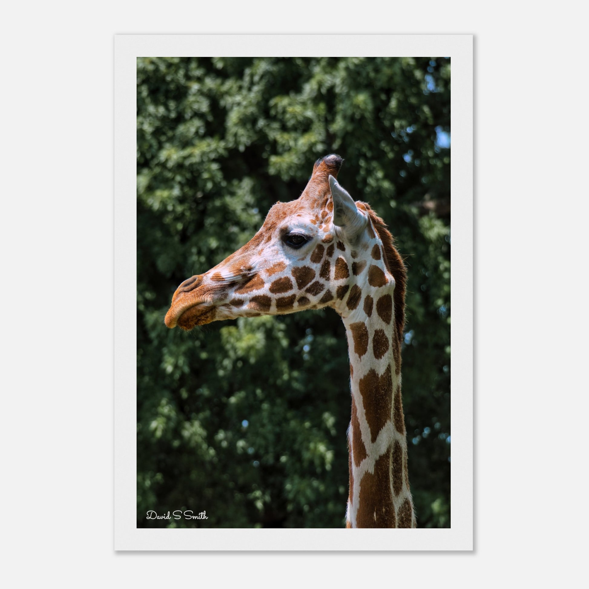 e11697d8-8101-4e3a-9143-11156810088b