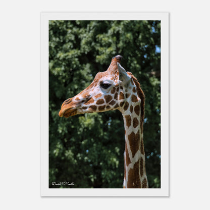 e11697d8-8101-4e3a-9143-11156810088b