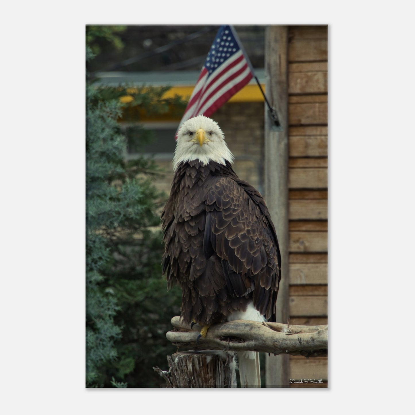 e1fc20aa-d8fa-461a-bb88-50176fc08c3d