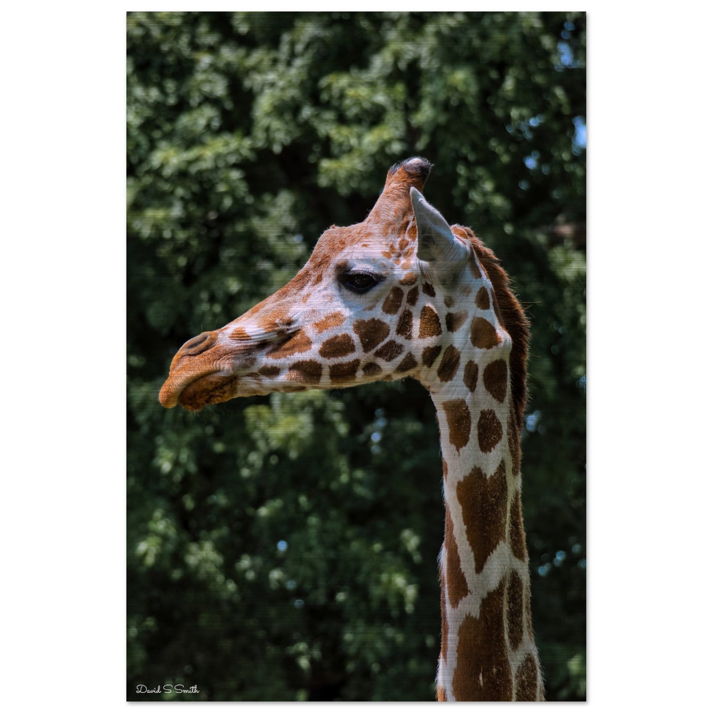 e2b08110-d320-4965-87ba-8324d6686f51