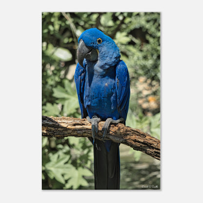 e3a1b121-8478-428b-966f-a419451cd77e