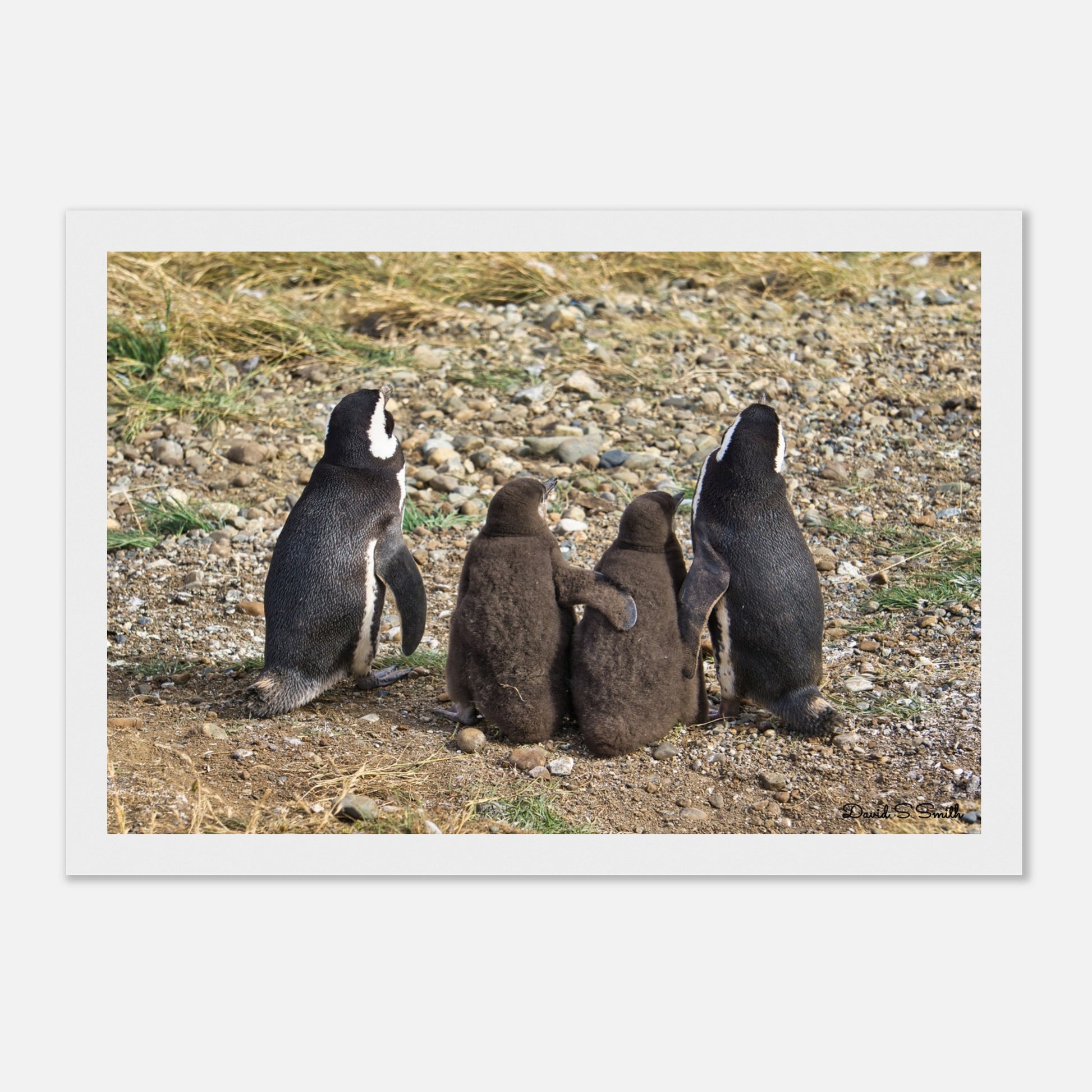 e52d76d2-7046-4693-aa43-7d0f9de76a57