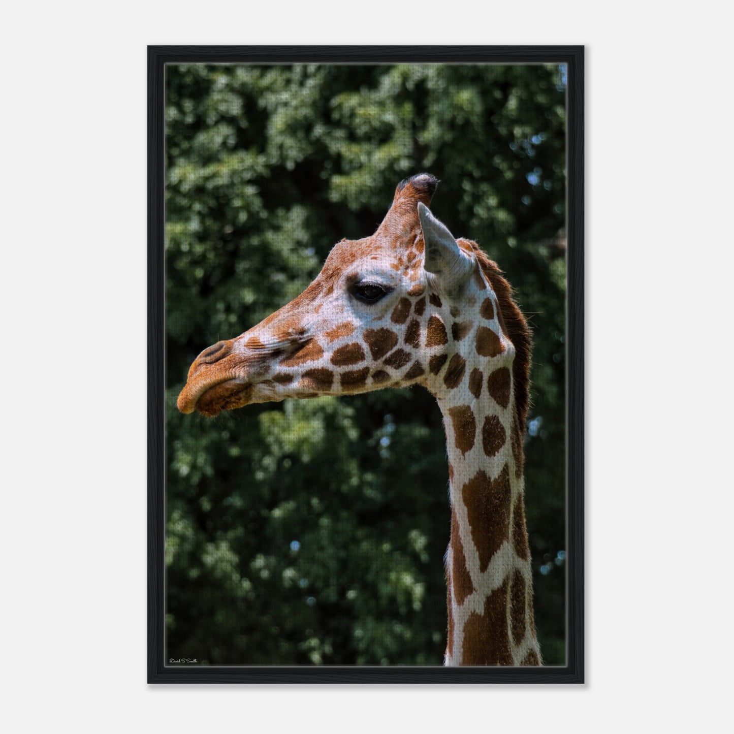 e565d0b2-16bb-4b26-8669-71d9c57bebf0