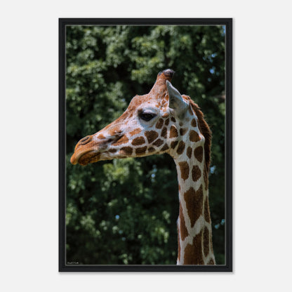 e565d0b2-16bb-4b26-8669-71d9c57bebf0