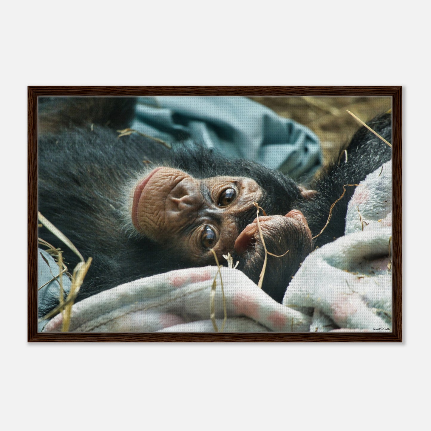 e6164e50-04b0-4ee3-9953-b05fa22501ea