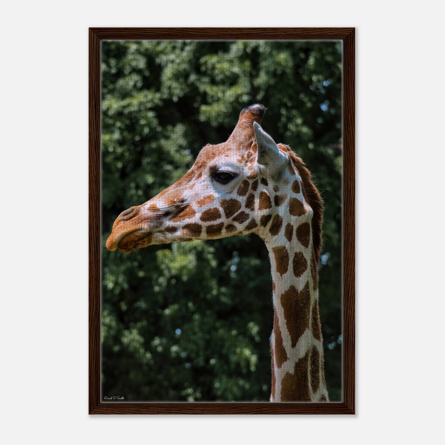 e6a143d6-2f84-4f8c-abb9-ef262f43074d