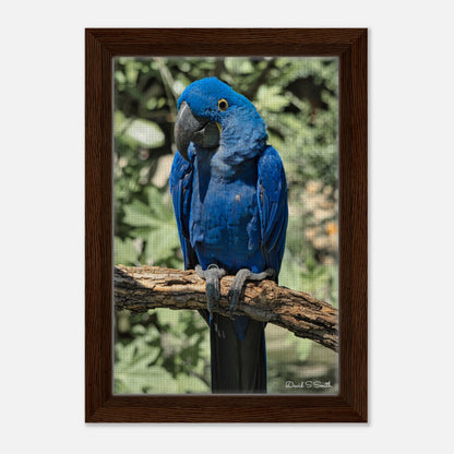 e6d6ce54-75c6-4406-b43c-164250782354