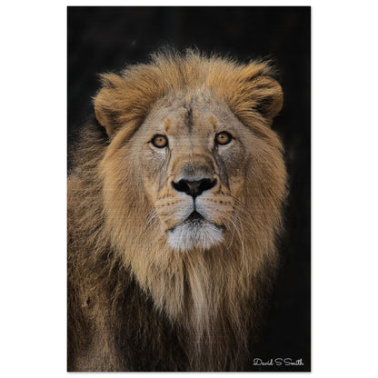 e6ece6fb-0776-4914-9bd3-1e4c44f7eb52