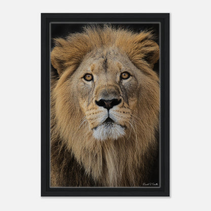 e7725d83-d812-4e18-936d-1a7d76b27baf