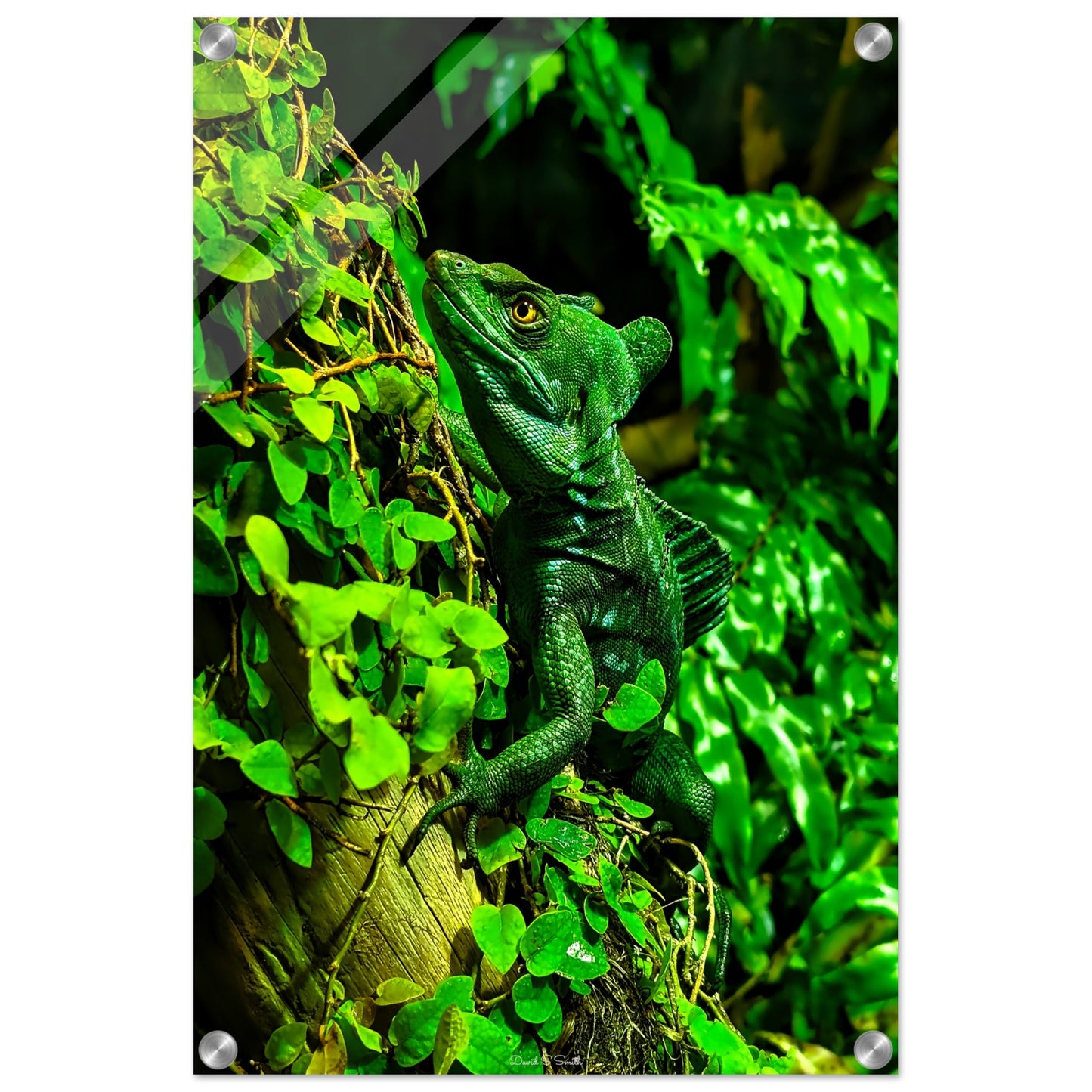 e775216f-4d96-446f-bd04-2e64816092a4