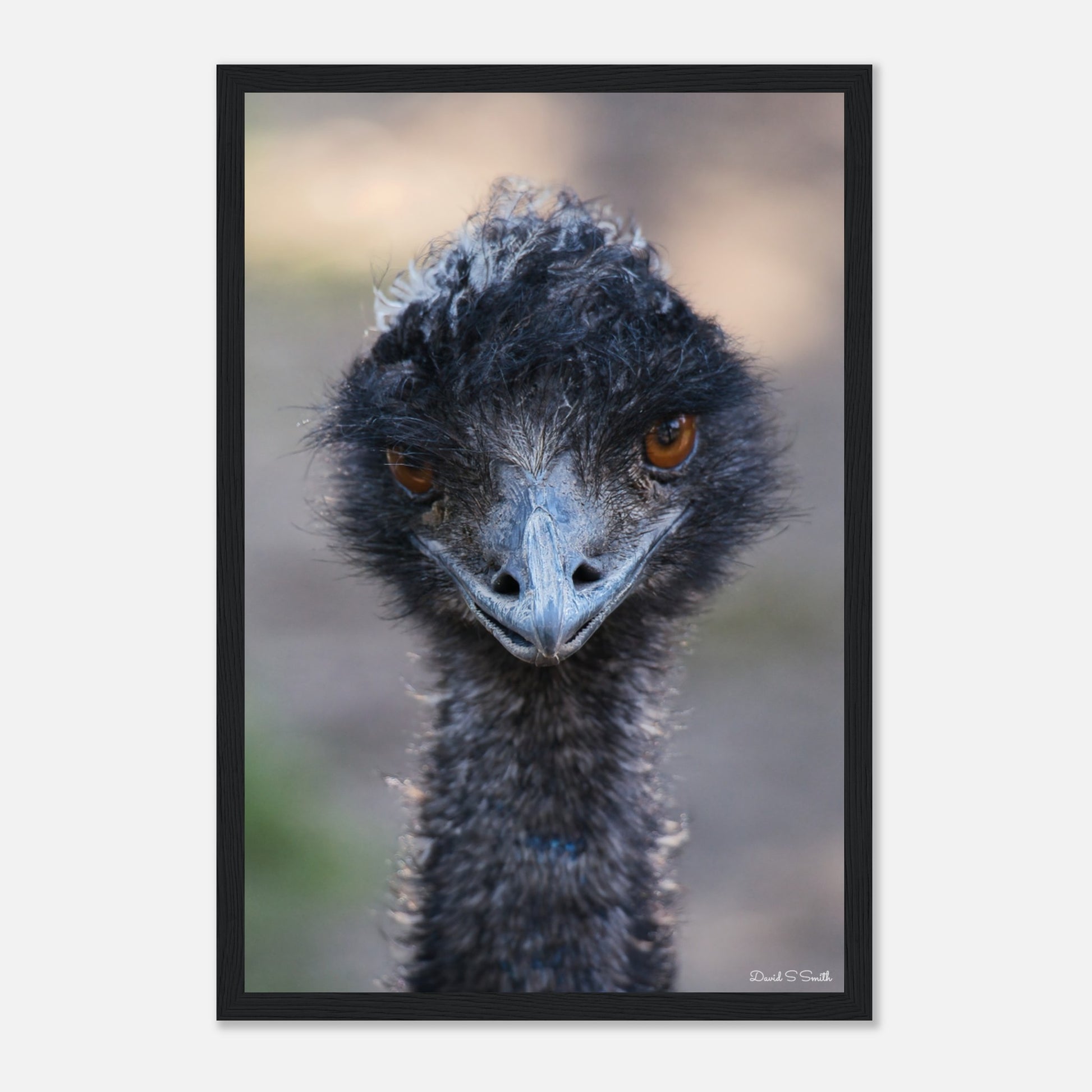 e79c89a9-6ccf-44e8-8e18-359635606f23