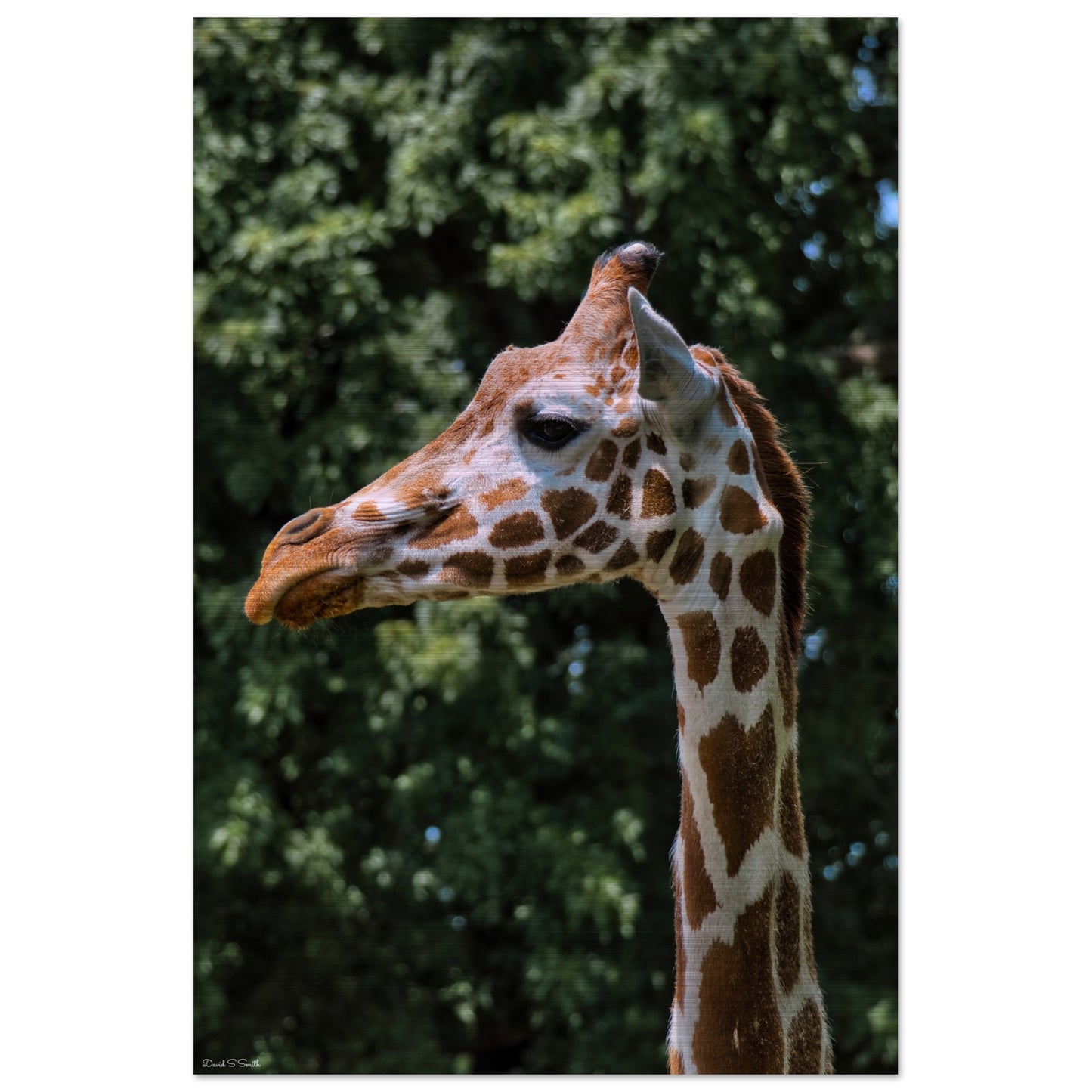 e7a400ed-0627-4f2d-83b3-ea7ea7023ad0