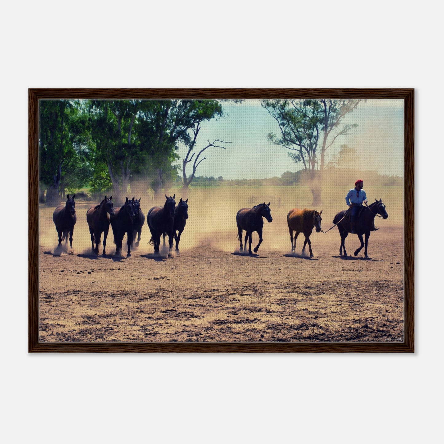 e9f03d81-9fed-492b-a1f4-818d73f239bc