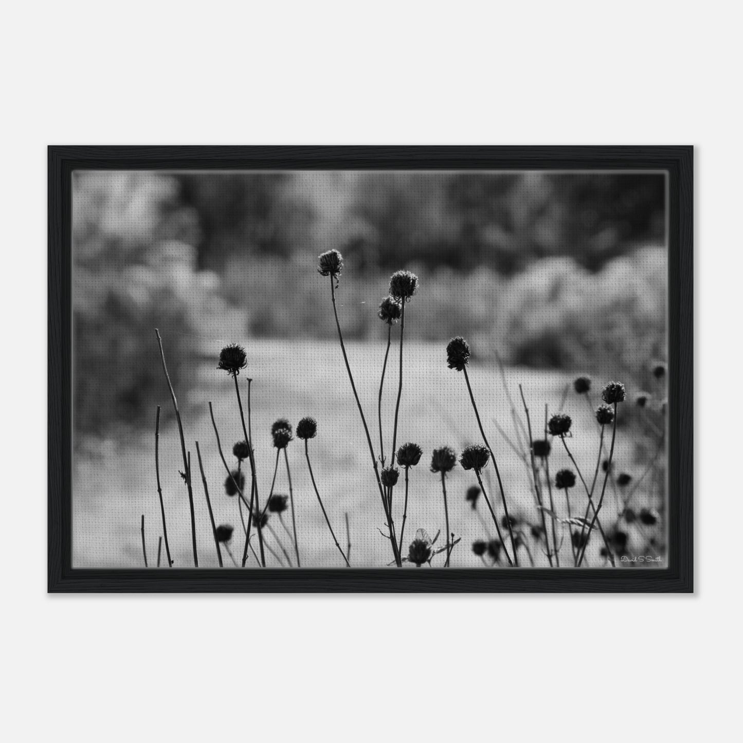 eada2780-6594-4a2e-a3e1-680c5b92fc36